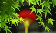 一辈子的温存，一辈子的学问