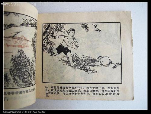 我学会了从爷爷那里采蜜
