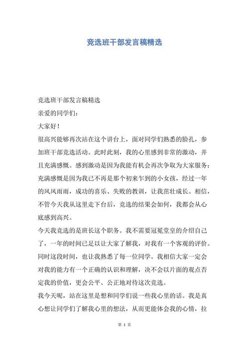 选举委员会的讲话