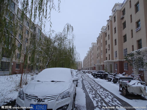 社区雪