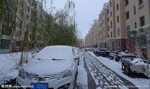 小区的雪