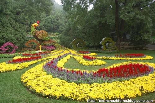 迷人的花坛