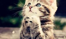 动力来自你的微笑