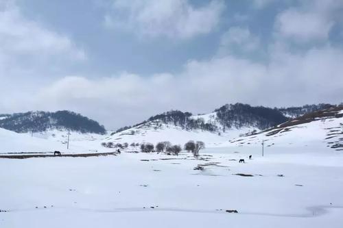 2019年的最后一场雪