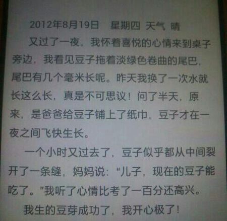 泡泡豆日记