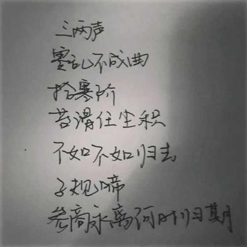 对青年的了解