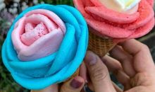 我有一个小小心愿