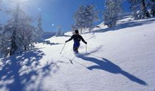 2020年的一场雪作文