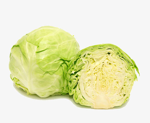 卷心菜
