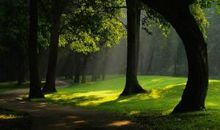 绿色自然都去哪儿了