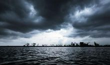 暴风雨中的陪伴