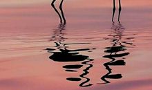 对于简单的领悟