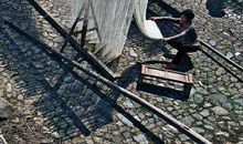 初一生活协奏曲