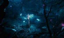 观《沉睡魔咒》有感