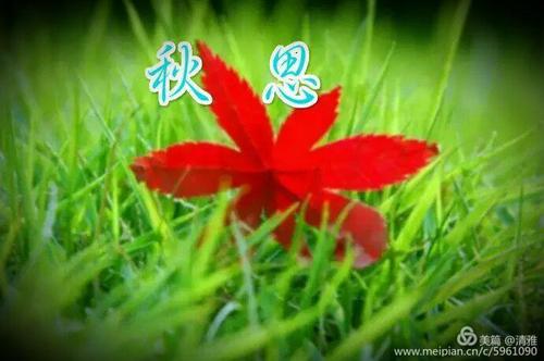 秋天的感觉