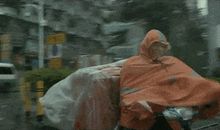 不愿错过那一袭芳香