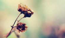 妈妈的青春去哪儿了