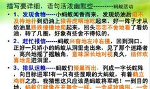 赞美蚂蚁精神的作文