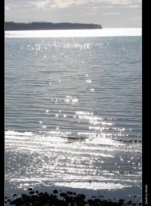 读海