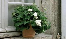 遇到你是我的幸运