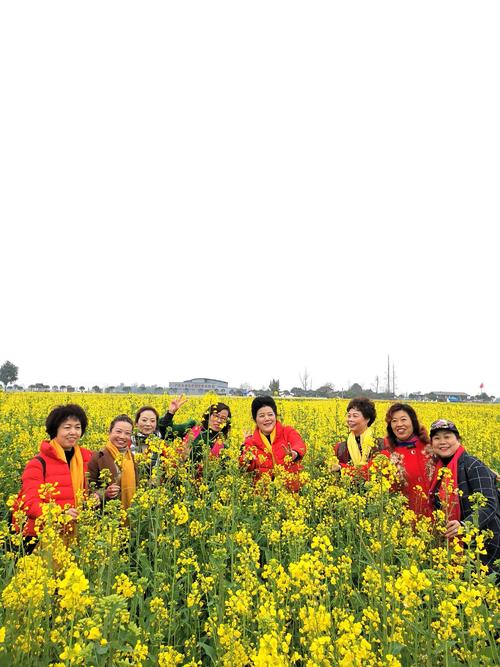爱在歌声中漂浮