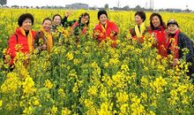 爱在歌声中飘荡