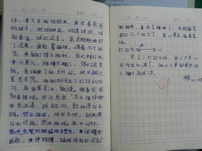 打羽毛球作文300字