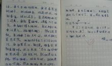 打羽毛球作文300字