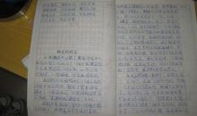 抢凳子游戏作文