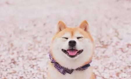 温暖的微笑
