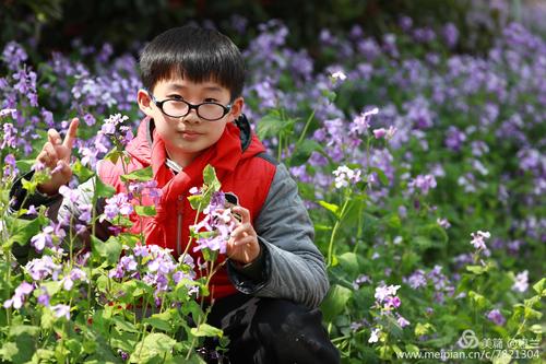 期待春季郊游