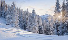 描写冬天的作文