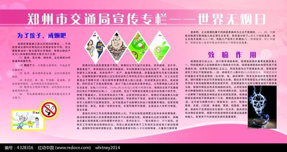 关于世界无烟日的构成：Bus Adventure_750字