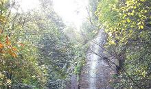 莫干山剑池游记