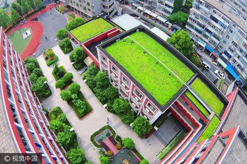 学校花园