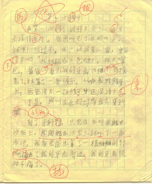 三年级拔牙的组成
