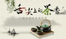 感受茶文化学习茶知识