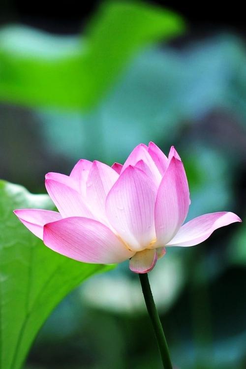 沉默更是美