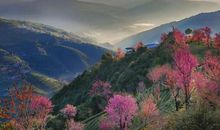 五彩缤纷的春天