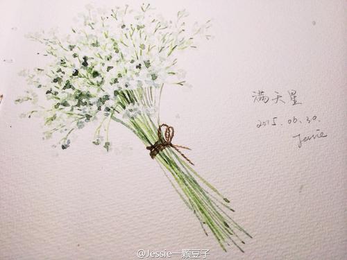 豆子的旅行