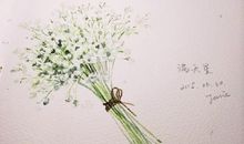 一颗豆子的旅行