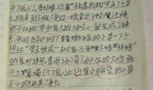 捉蚊趣事作文400字