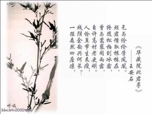 朱勇
