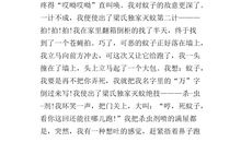 捉蚊趣事四年级作文