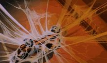 蜘蛛吐丝的秘密