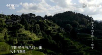 山区深处的美味佳肴