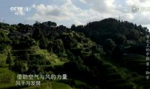 大山深处的美味