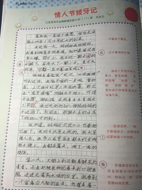 关于拔牙的组成
