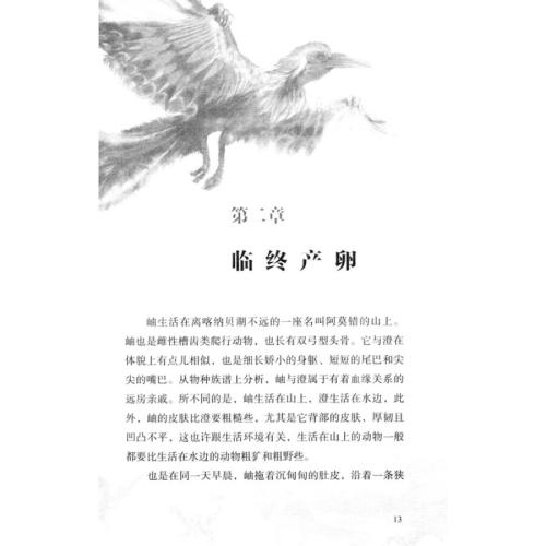 关于阅读《七彩龙鸟》的思考