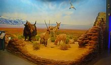 浙江省自然博物馆游记